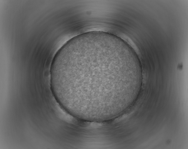 X0000092030890200709271607