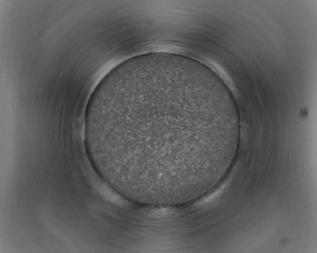 X0000092030891200709271607