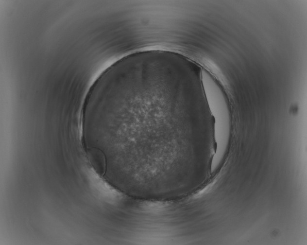 X0000092030892200709271607