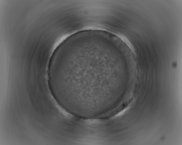 X0000092030893200709271607