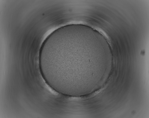 X0000092030894200709271607