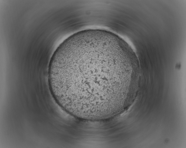 X0000092030895200709271607