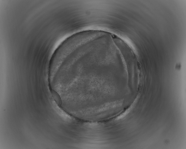 X0000092030896200709271607