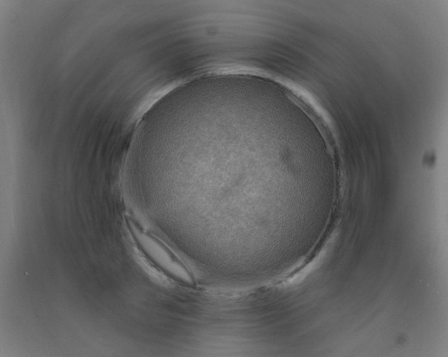 X0000092030897200709271607