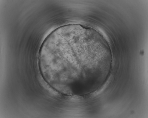 X0000092030899200709271607