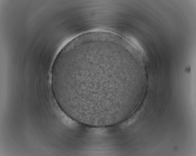 X0000092030900200709271607