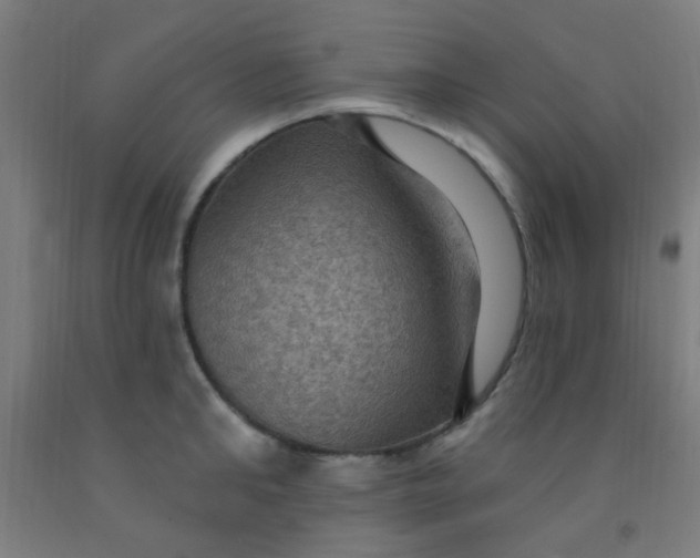 X0000092030902200709271607