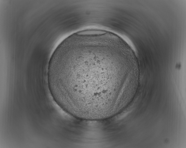 X0000092030903200709271607