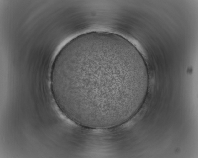 X0000092030904200709271607