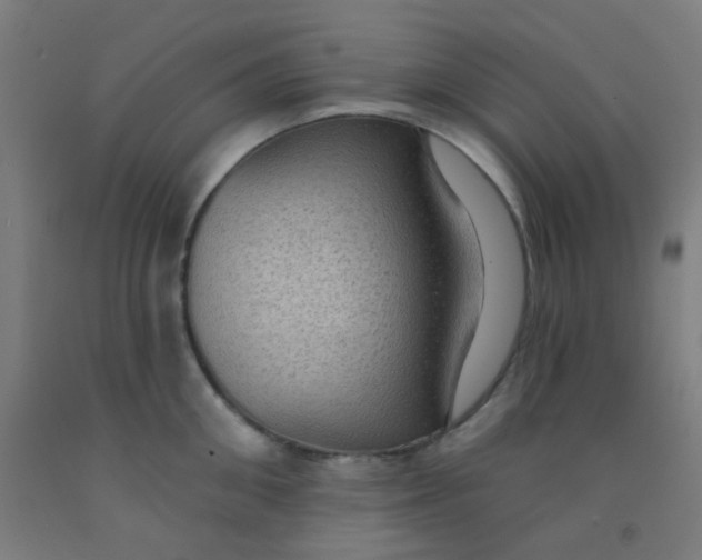 X0000092030906200709271607