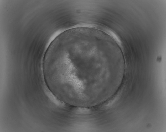 X0000092030907200709271607