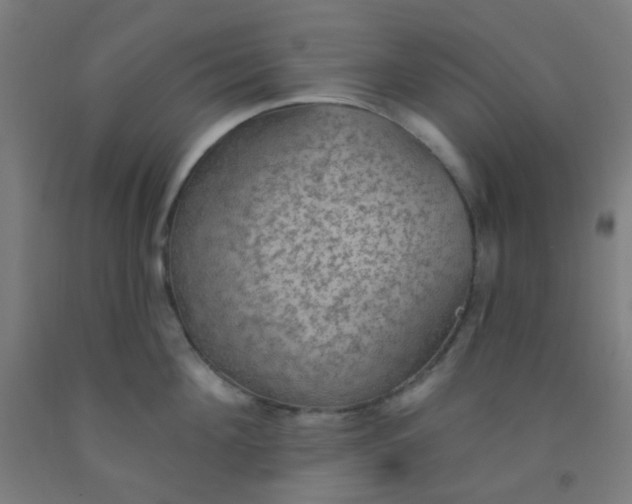 X0000092030908200709271607