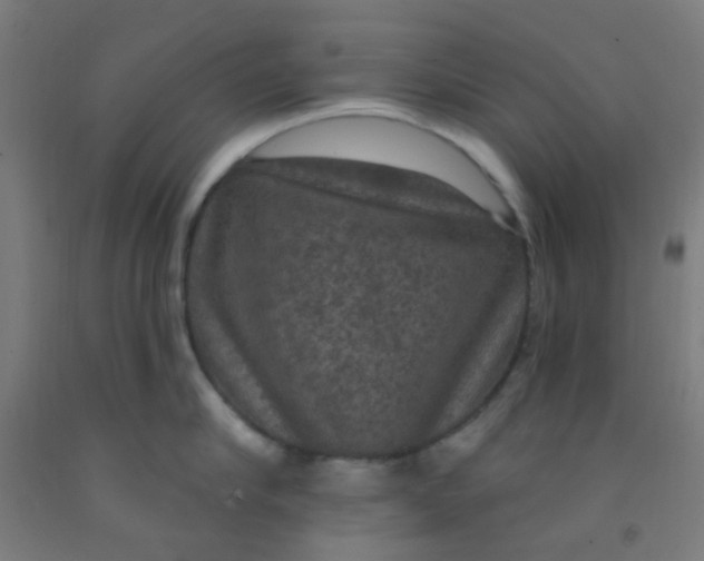 X0000092030910200709271607