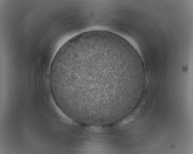 X0000092030911200709271607