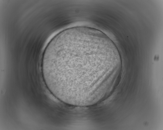 X0000092030912200709271607