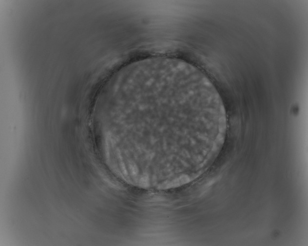 X0000092030913200709271606