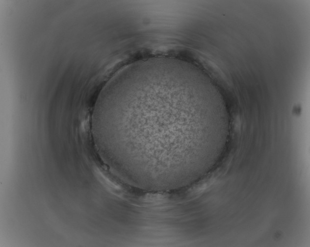 X0000092030914200709271606