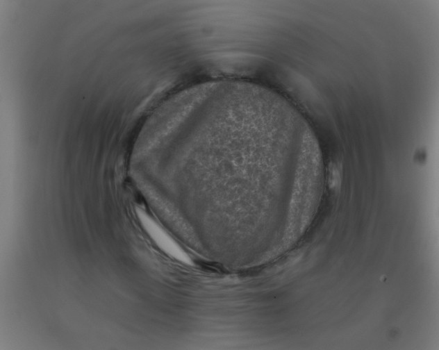 X0000092030915200709271606