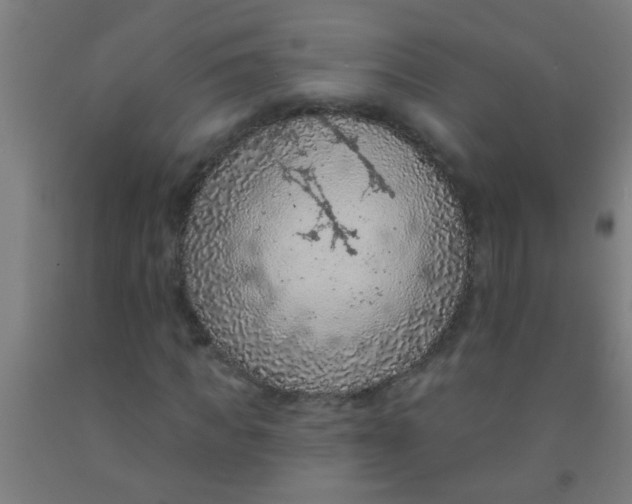 X0000092030917200709271606