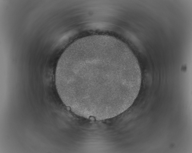 X0000092030918200709271606