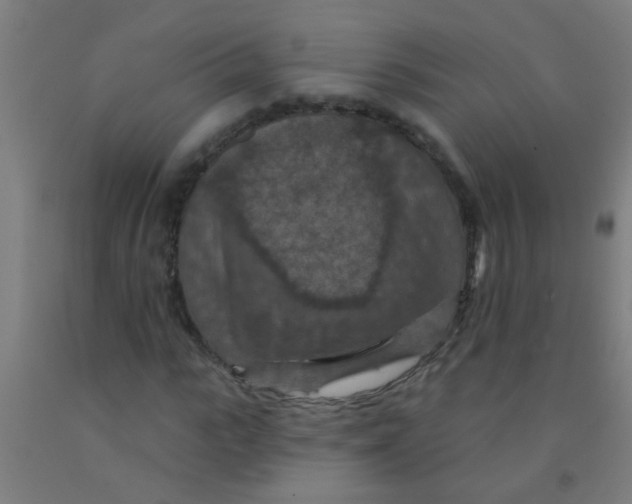 X0000092030919200709271606