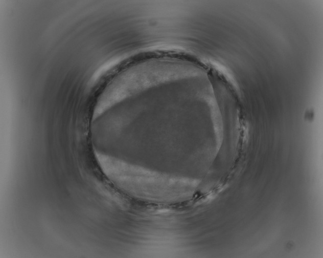 X0000092030920200709271606