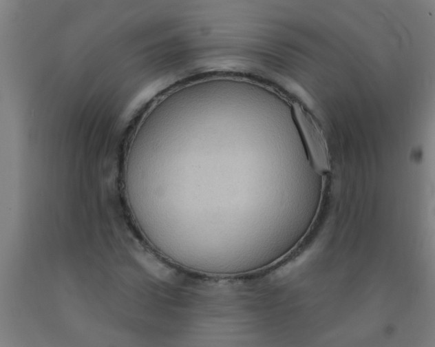 X0000092030922200709271606