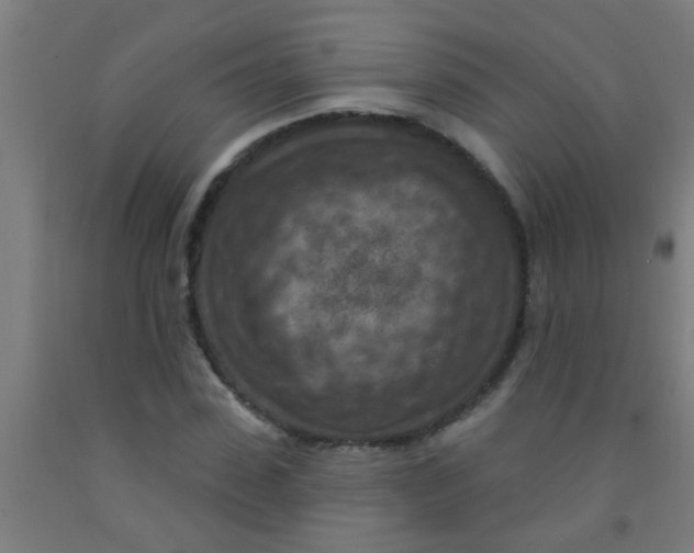 X0000092030923200709271606