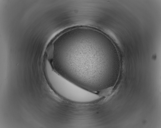 X0000092030924200709271606