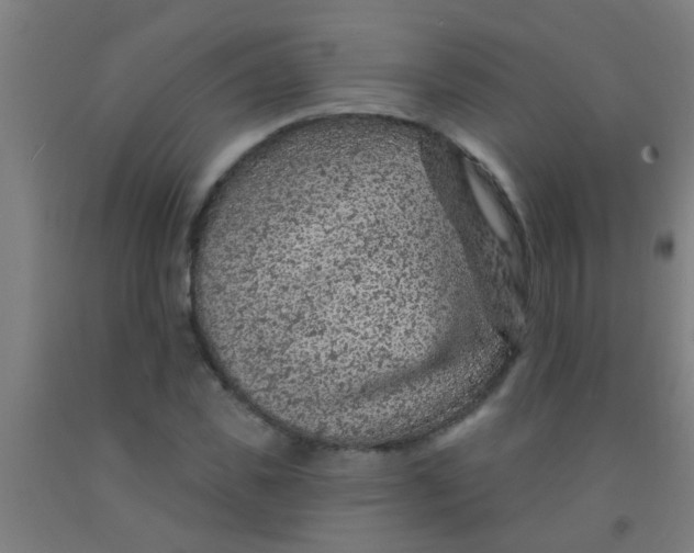 X0000092030925200709271606