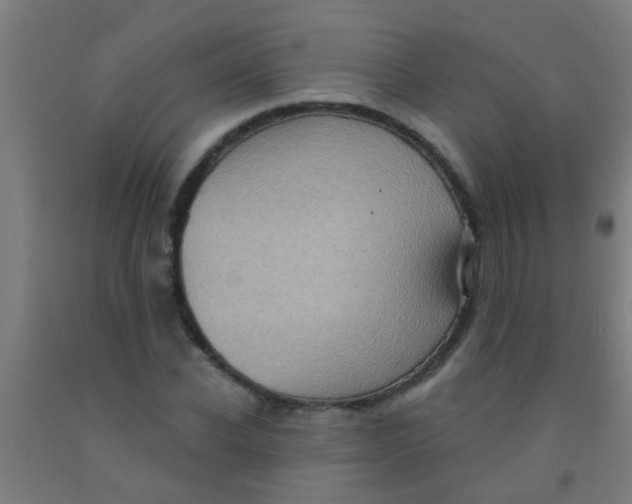 X0000092030926200709271606