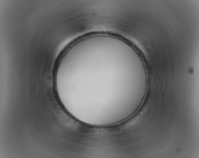 X0000092030927200709271606