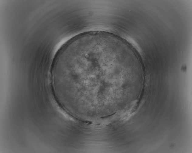 X0000092030928200709271606