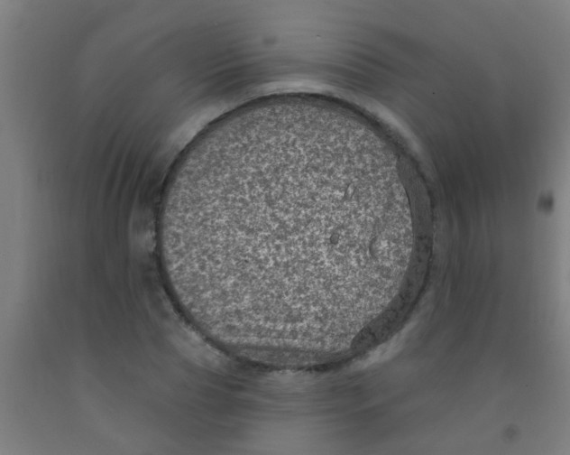 X0000092030929200709271606