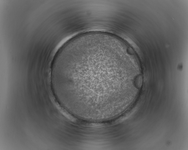 X0000092030933200709271606