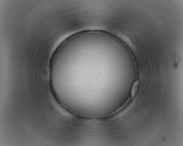 X0000092030934200709271606