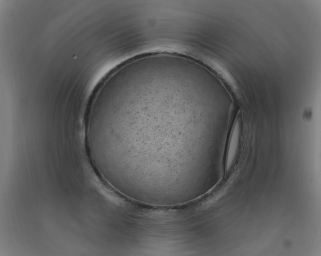 X0000092030936200709271606