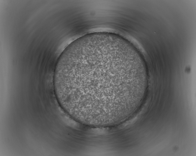 X0000092030937200709271606