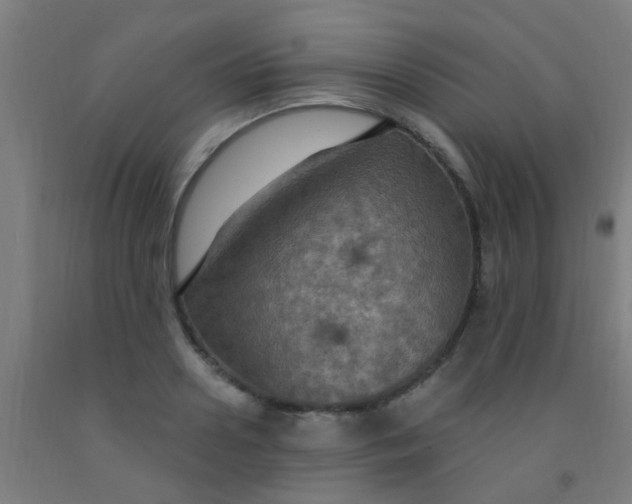 X0000092030938200709271606