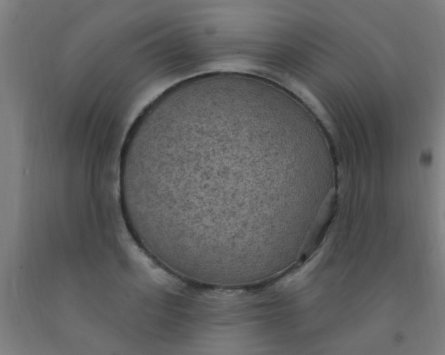 X0000092030939200709271606