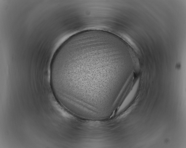 X0000092030940200709271606