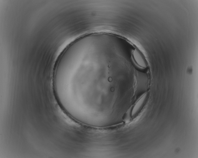 X0000092030941200709271606