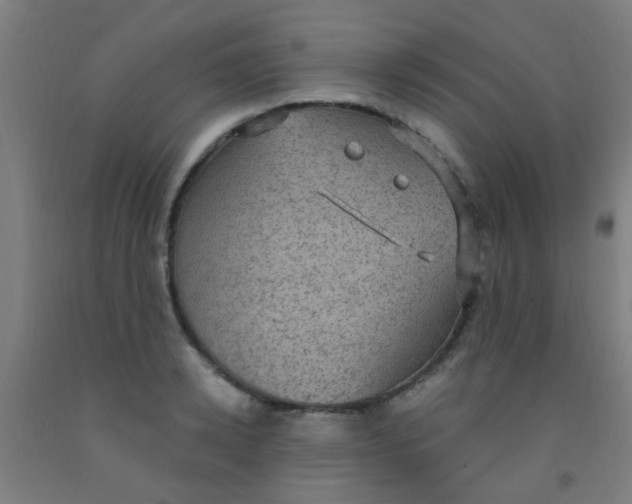 X0000092030942200709271606