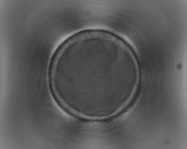 X0000092030943200709271606