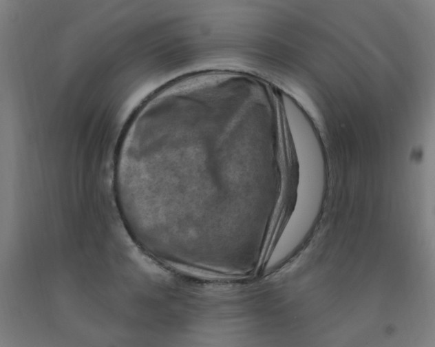 X0000092030944200709271606