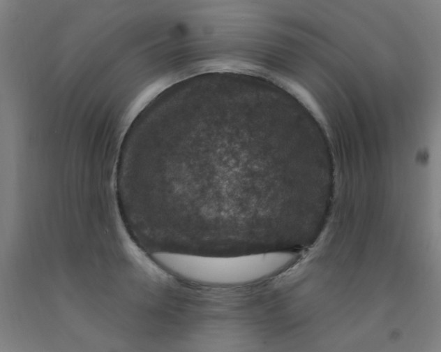 X0000092030946200709271606