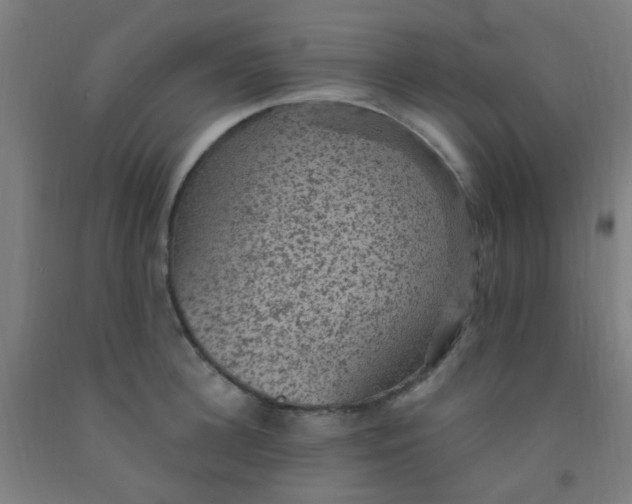 X0000092030948200709271606