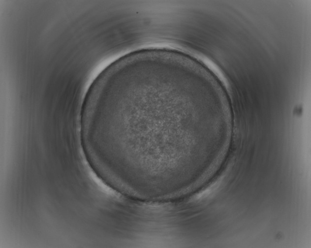 X0000092030951200709271606