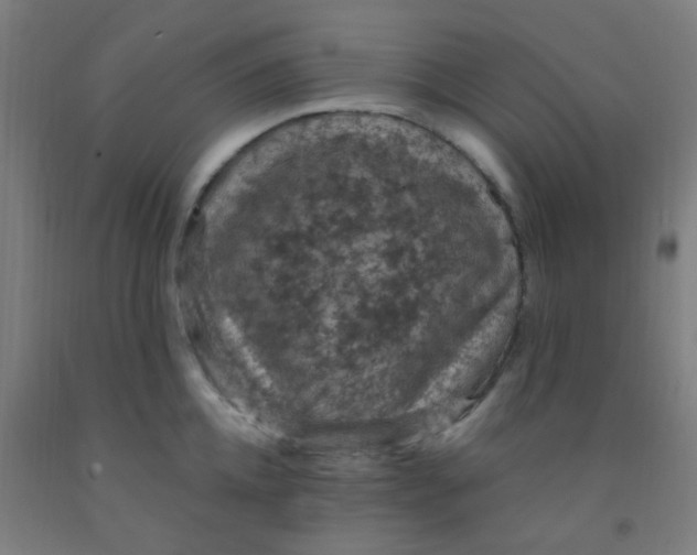 X0000092030952200709271606