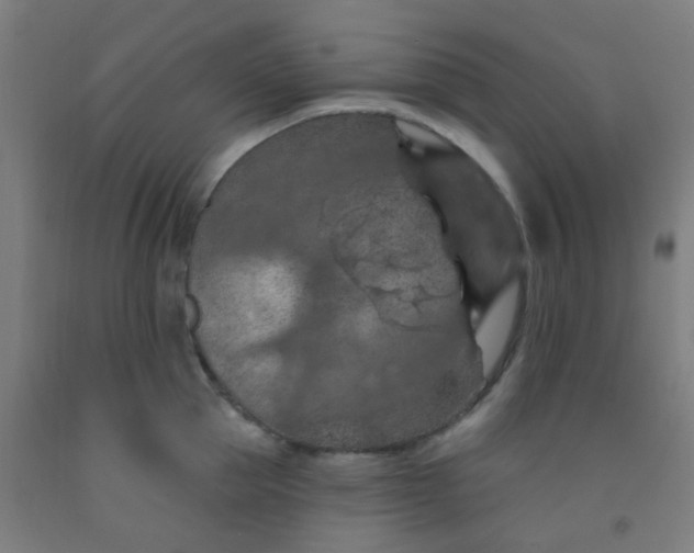 X0000092030953200709271606